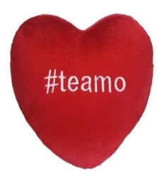 Imagem de capa de Almofada CoraÇÃo Meu Amor - Brumar