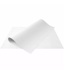 Imagem de capa de Cartolina 160g/m² Branca/colorida 50x66 Cm Pacote Com 100un -  Aloform - 177476