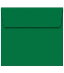 Imagem de capa de Envelope Convite 162 X 229mm Verde Escuro Caixa Com 100 Un - Foroni