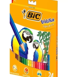 Imagem de capa de LÁpis De Cor 24 Cores Evolution Sextavado - Bic