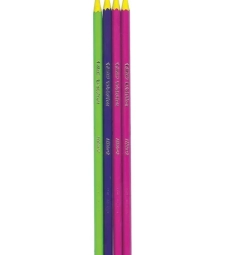 Imagem de capa de LÁpis Preto Evolution Colors - Bic