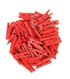 Imagem de capa de Mini Pregador De Madeira Cores Diversas - Interponte- Hd70320